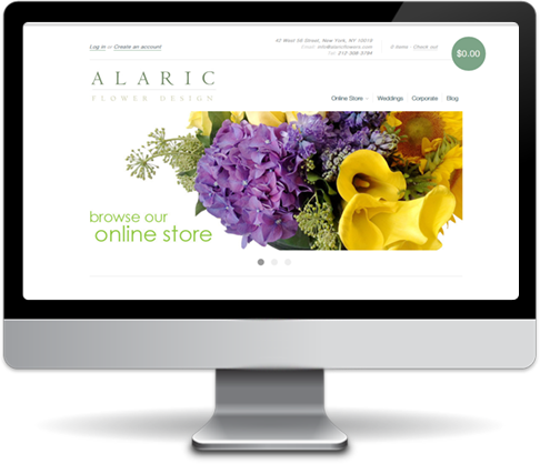 portfolio-alaric-img